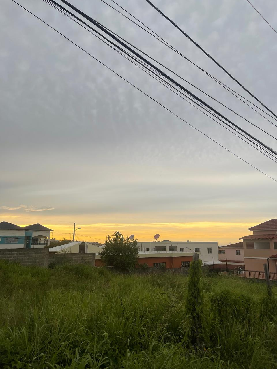 Solar con vegetación y viviendas cercanas. Me ayudó a reflexionar sobre el crecimiento urbano y los espacios verdes.