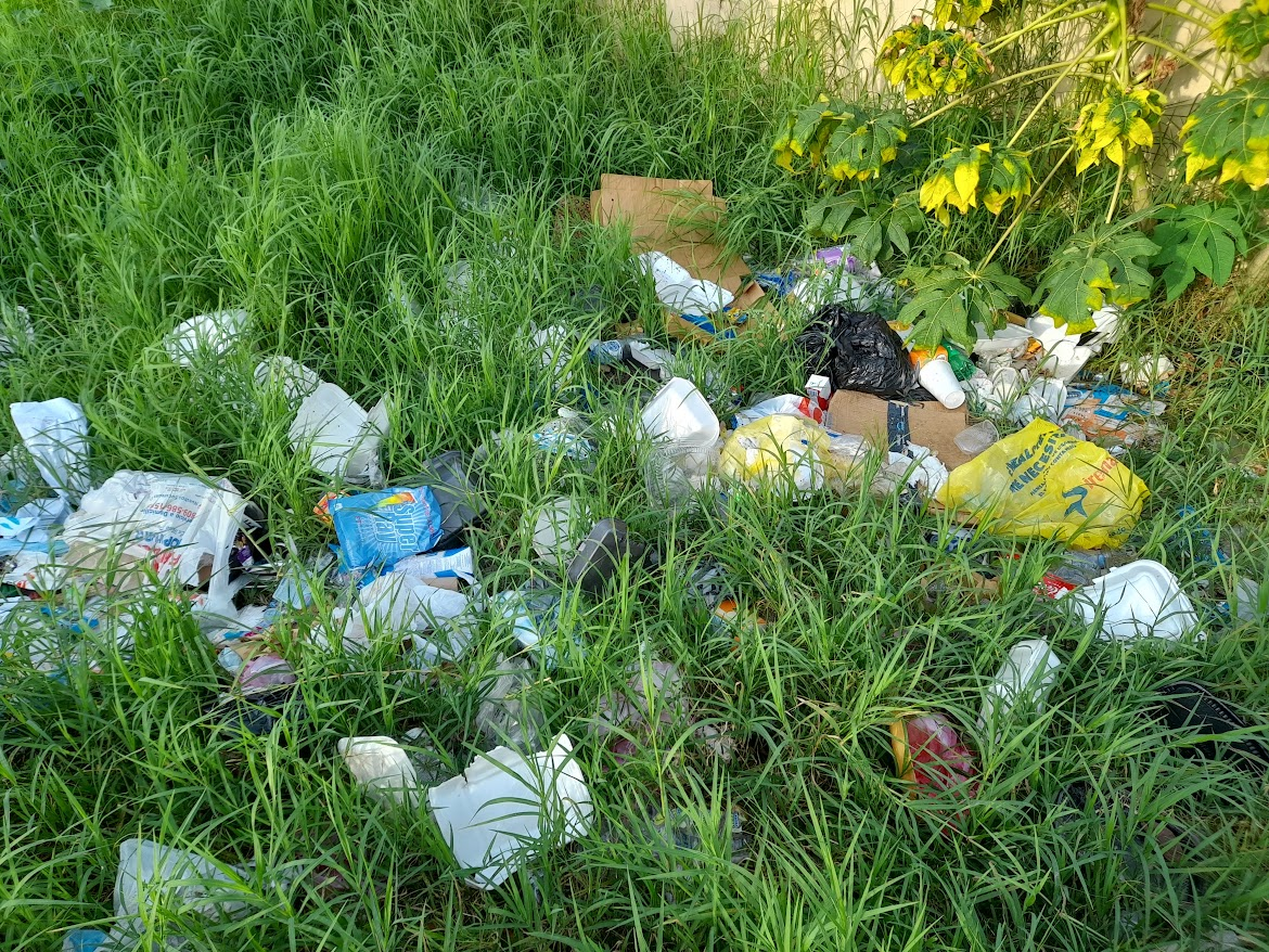 Residuos entre la vegetación: ejemplo de un problema que analicé al estudiar el manejo de la basura.